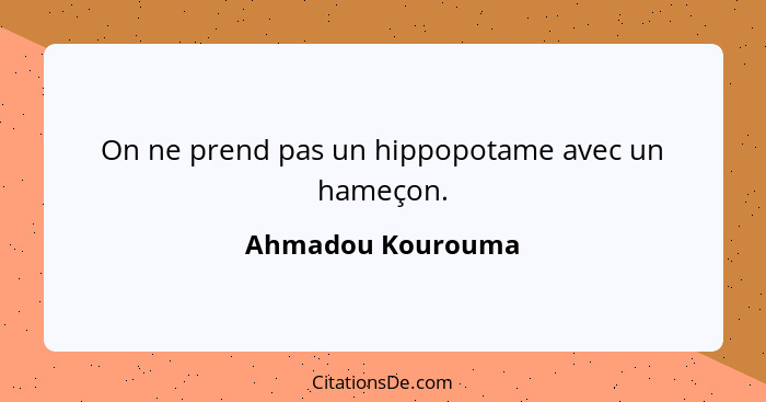 On ne prend pas un hippopotame avec un hameçon.... - Ahmadou Kourouma