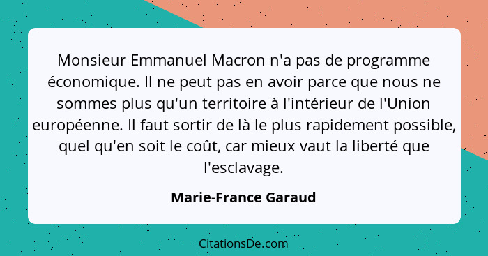 Monsieur Emmanuel Macron n'a pas de programme économique. Il ne peut pas en avoir parce que nous ne sommes plus qu'un territoire... - Marie-France Garaud