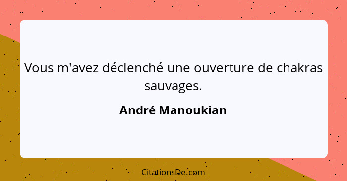 Vous m'avez déclenché une ouverture de chakras sauvages.... - André Manoukian