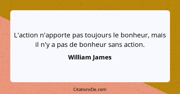 L'action n'apporte pas toujours le bonheur, mais il n'y a pas de bonheur sans action.... - William James