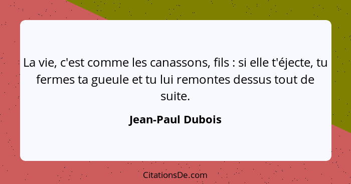 La vie, c'est comme les canassons, fils : si elle t'éjecte, tu fermes ta gueule et tu lui remontes dessus tout de suite.... - Jean-Paul Dubois