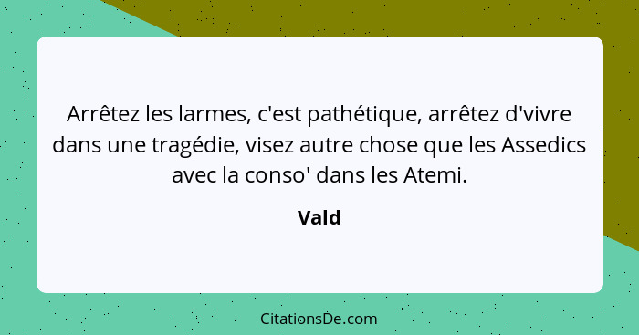 Arrêtez les larmes, c'est pathétique, arrêtez d'vivre dans une tragédie, visez autre chose que les Assedics avec la conso' dans les Atemi.... - Vald