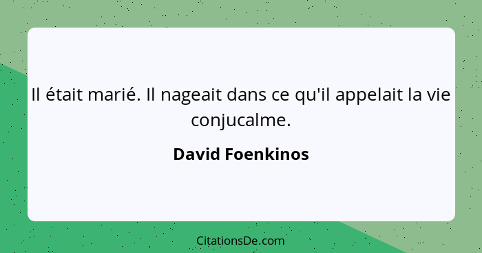 Il était marié. Il nageait dans ce qu'il appelait la vie conjucalme.... - David Foenkinos