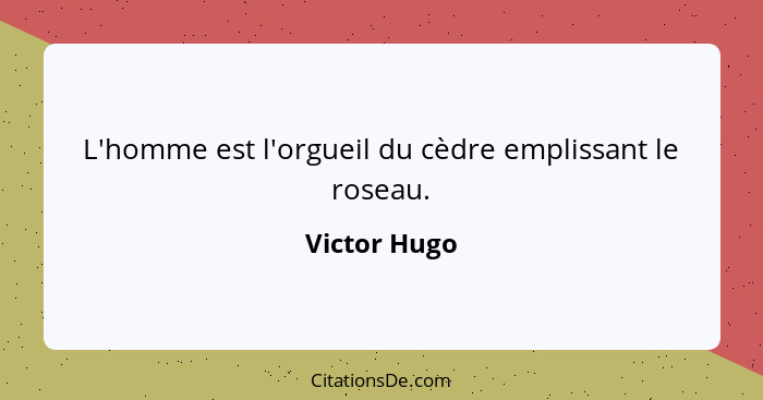 L'homme est l'orgueil du cèdre emplissant le roseau.... - Victor Hugo