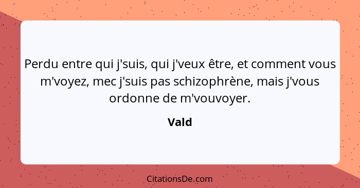 Perdu entre qui j'suis, qui j'veux être, et comment vous m'voyez, mec j'suis pas schizophrène, mais j'vous ordonne de m'vouvoyer.... - Vald