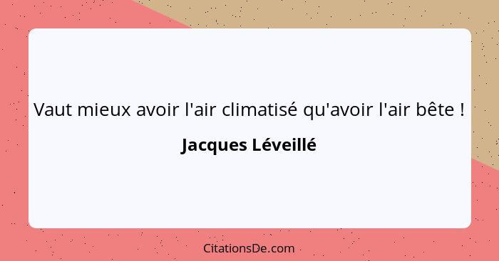 Vaut mieux avoir l'air climatisé qu'avoir l'air bête !... - Jacques Léveillé