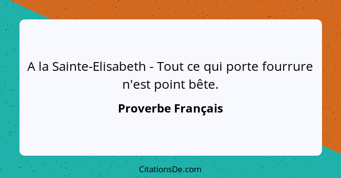 A la Sainte-Elisabeth - Tout ce qui porte fourrure n'est point bête.... - Proverbe Français