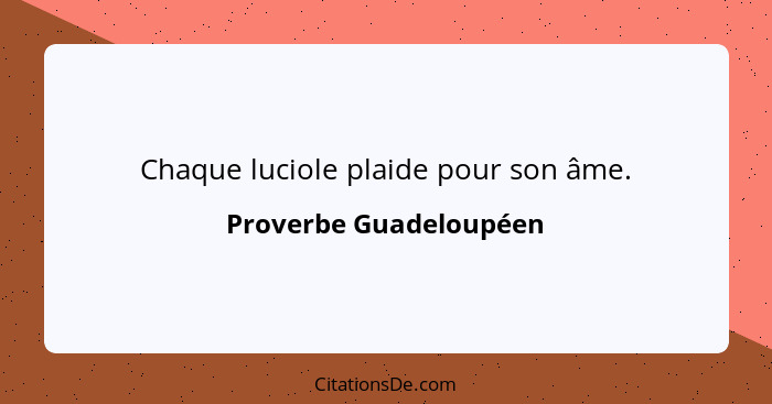 Chaque luciole plaide pour son âme.... - Proverbe Guadeloupéen