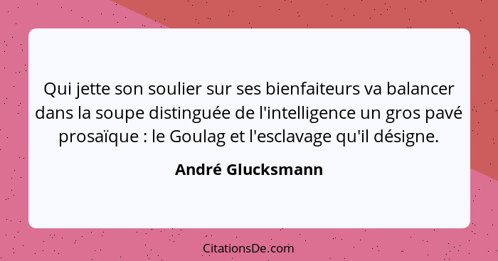 Qui jette son soulier sur ses bienfaiteurs va balancer dans la soupe distinguée de l'intelligence un gros pavé prosaïque : le... - André Glucksmann