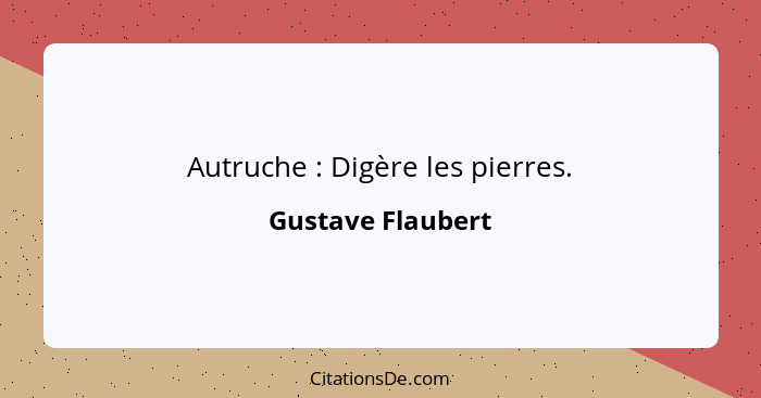 Autruche : Digère les pierres.... - Gustave Flaubert