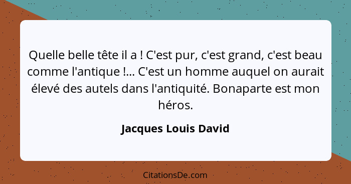 Quelle belle tête il a ! C'est pur, c'est grand, c'est beau comme l'antique !... C'est un homme auquel on aurait élevé... - Jacques Louis David