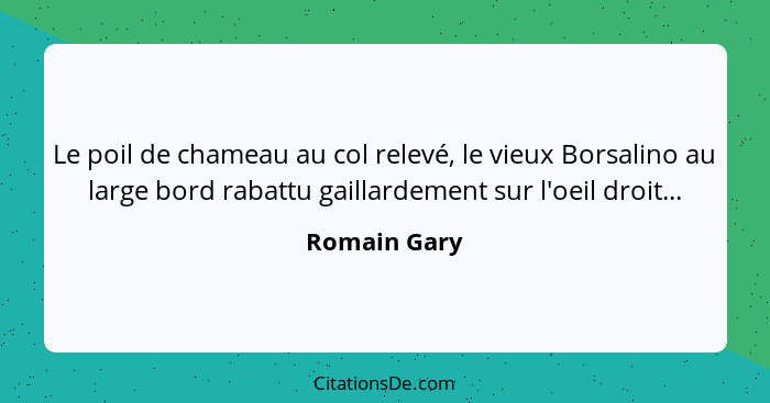 Le poil de chameau au col relevé, le vieux Borsalino au large bord rabattu gaillardement sur l'oeil droit...... - Romain Gary