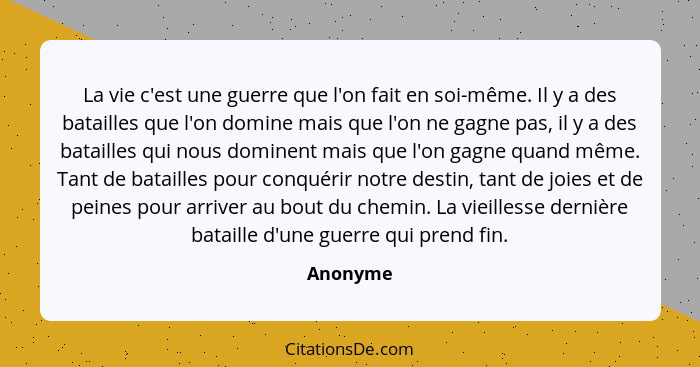 La vie c'est une guerre que l'on fait en soi-même. Il y a des batailles que l'on domine mais que l'on ne gagne pas, il y a des batailles qui... - Anonyme