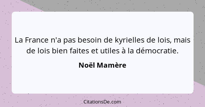 La France n'a pas besoin de kyrielles de lois, mais de lois bien faites et utiles à la démocratie.... - Noël Mamère