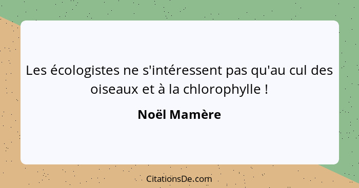 Les écologistes ne s'intéressent pas qu'au cul des oiseaux et à la chlorophylle !... - Noël Mamère