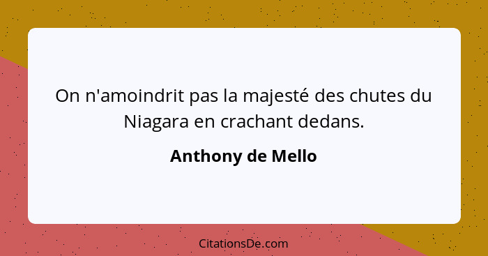 On n'amoindrit pas la majesté des chutes du Niagara en crachant dedans.... - Anthony de Mello