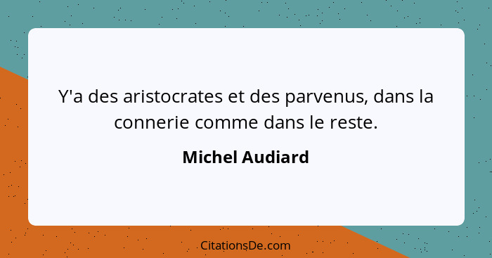 Y'a des aristocrates et des parvenus, dans la connerie comme dans le reste.... - Michel Audiard