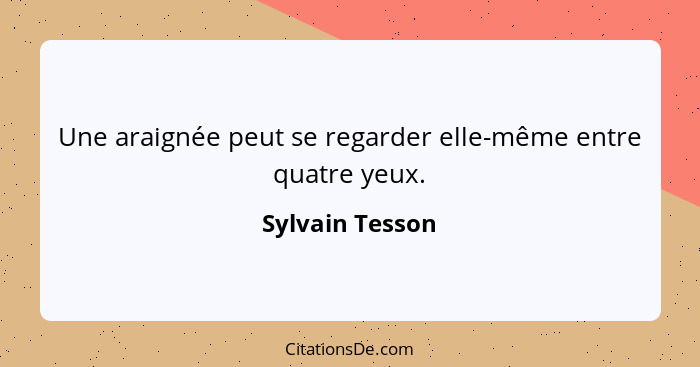 Une araignée peut se regarder elle-même entre quatre yeux.... - Sylvain Tesson