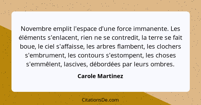 Novembre emplit l'espace d'une force immanente. Les éléments s'enlacent, rien ne se contredit, la terre se fait boue, le ciel s'affa... - Carole Martinez