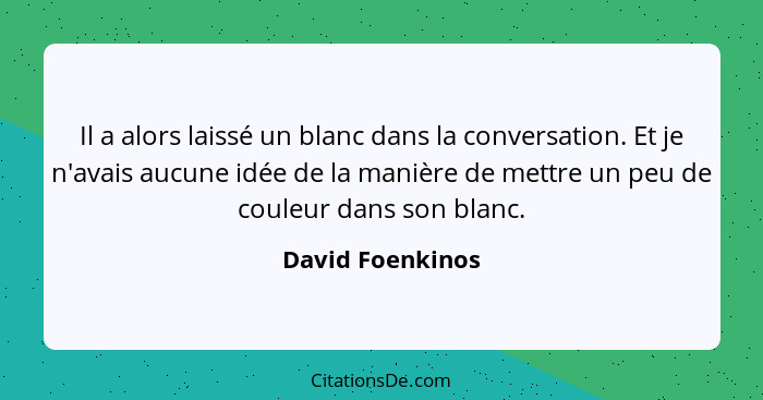 Il a alors laissé un blanc dans la conversation. Et je n'avais aucune idée de la manière de mettre un peu de couleur dans son blanc.... - David Foenkinos