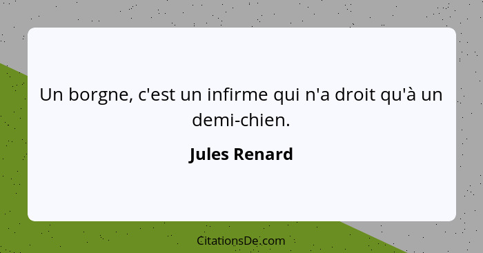 Un borgne, c'est un infirme qui n'a droit qu'à un demi-chien.... - Jules Renard