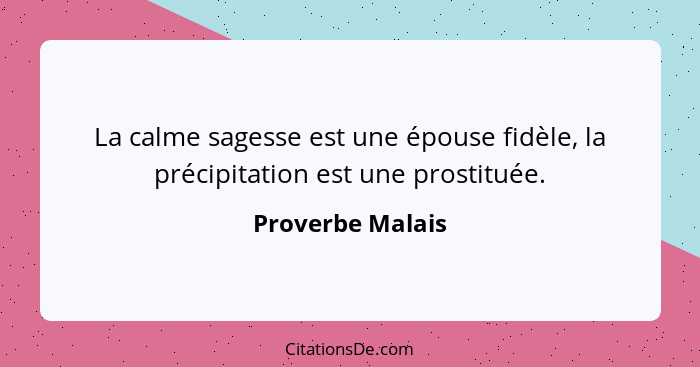 La calme sagesse est une épouse fidèle, la précipitation est une prostituée.... - Proverbe Malais