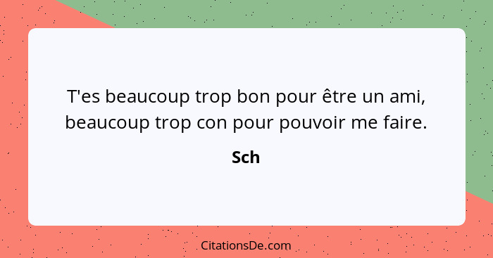 T'es beaucoup trop bon pour être un ami, beaucoup trop con pour pouvoir me faire.... - Sch