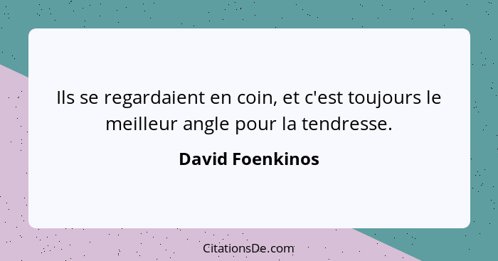 Ils se regardaient en coin, et c'est toujours le meilleur angle pour la tendresse.... - David Foenkinos