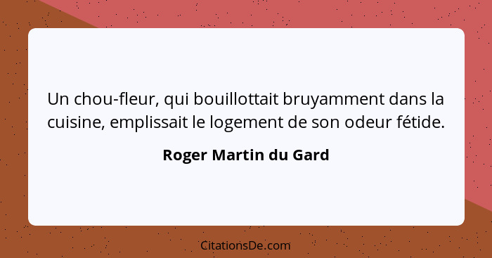 Un chou-fleur, qui bouillottait bruyamment dans la cuisine, emplissait le logement de son odeur fétide.... - Roger Martin du Gard