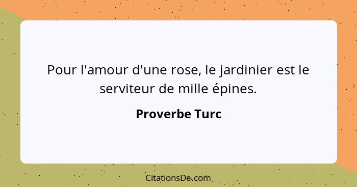 Pour l'amour d'une rose, le jardinier est le serviteur de mille épines.... - Proverbe Turc