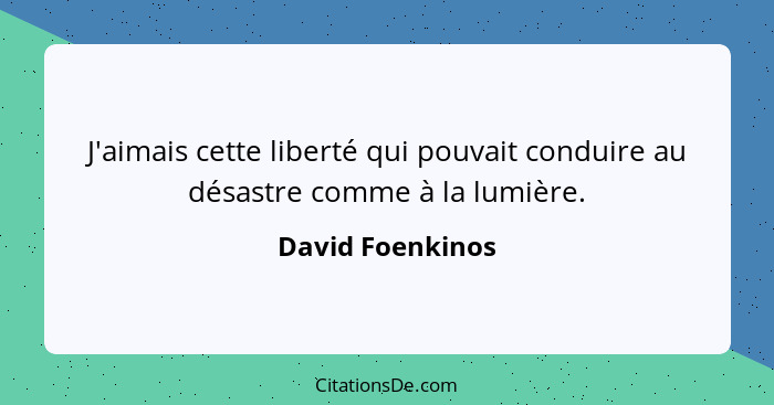 J'aimais cette liberté qui pouvait conduire au désastre comme à la lumière.... - David Foenkinos