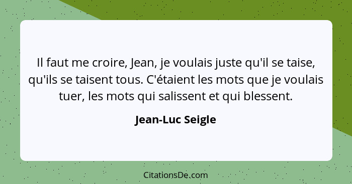 Il faut me croire, Jean, je voulais juste qu'il se taise, qu'ils se taisent tous. C'étaient les mots que je voulais tuer, les mots q... - Jean-Luc Seigle