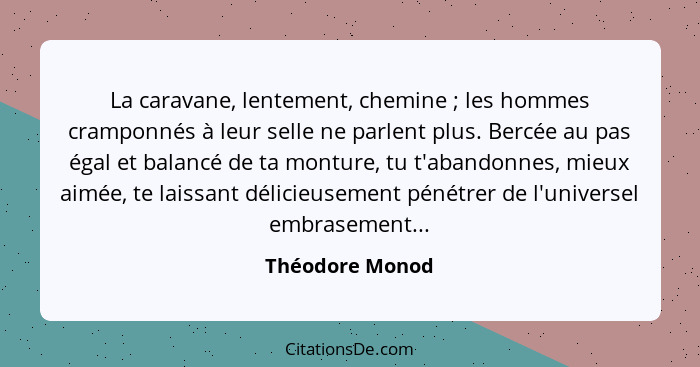 La caravane, lentement, chemine ; les hommes cramponnés à leur selle ne parlent plus. Bercée au pas égal et balancé de ta montur... - Théodore Monod