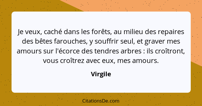 Je veux, caché dans les forêts, au milieu des repaires des bêtes farouches, y souffrir seul, et graver mes amours sur l'écorce des tendres a... - Virgile