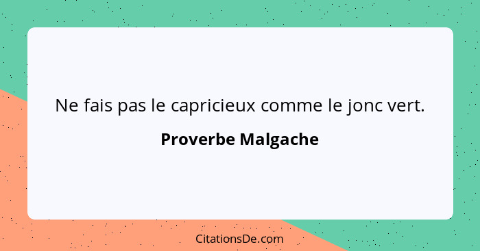 Ne fais pas le capricieux comme le jonc vert.... - Proverbe Malgache