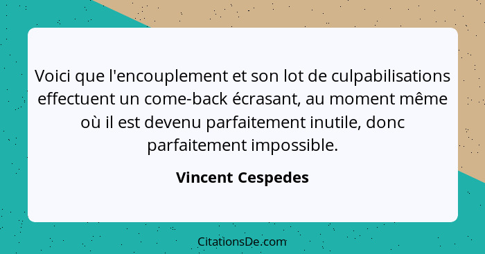 Voici que l'encouplement et son lot de culpabilisations effectuent un come-back écrasant, au moment même où il est devenu parfaitem... - Vincent Cespedes