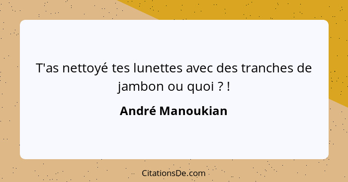 T'as nettoyé tes lunettes avec des tranches de jambon ou quoi ? !... - André Manoukian