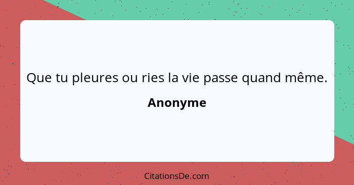 Que tu pleures ou ries la vie passe quand même.... - Anonyme