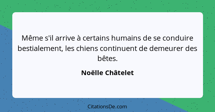 Même s'il arrive à certains humains de se conduire bestialement, les chiens continuent de demeurer des bêtes.... - Noëlle Châtelet