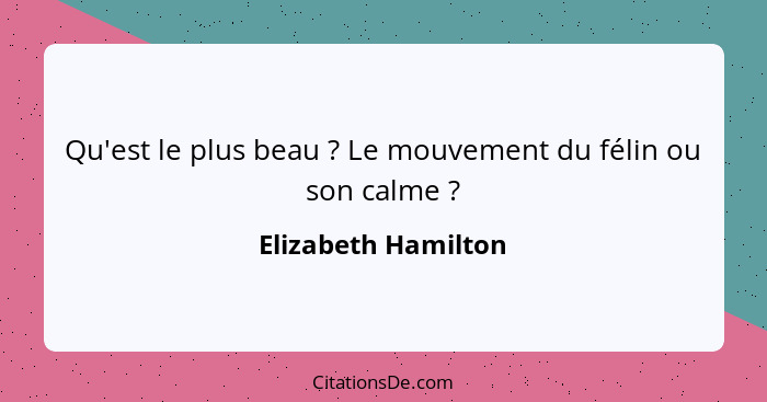 Qu'est le plus beau ? Le mouvement du félin ou son calme ?... - Elizabeth Hamilton