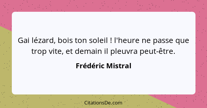 Gai lézard, bois ton soleil ! l'heure ne passe que trop vite, et demain il pleuvra peut-être.... - Frédéric Mistral