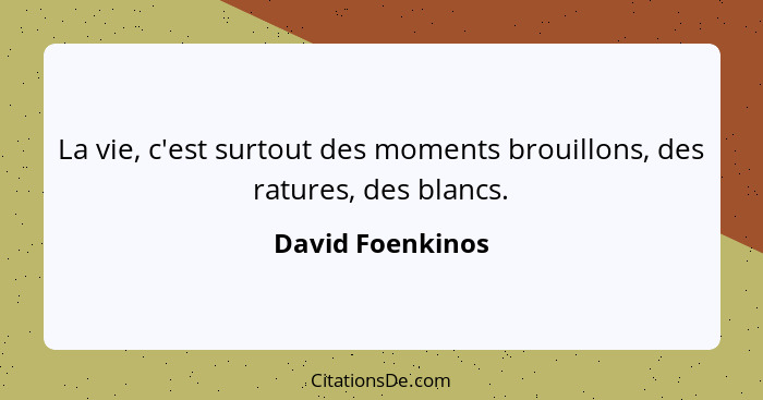 La vie, c'est surtout des moments brouillons, des ratures, des blancs.... - David Foenkinos