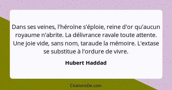 Dans ses veines, l'héroïne s'éploie, reine d'or qu'aucun royaume n'abrite. La délivrance ravale toute attente. Une joie vide, sans nom... - Hubert Haddad