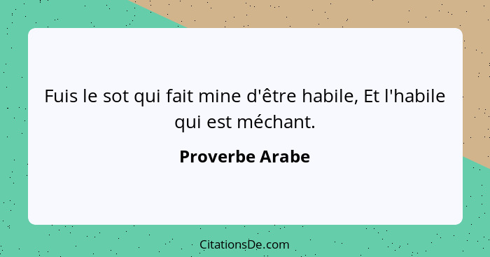 Fuis le sot qui fait mine d'être habile, Et l'habile qui est méchant.... - Proverbe Arabe