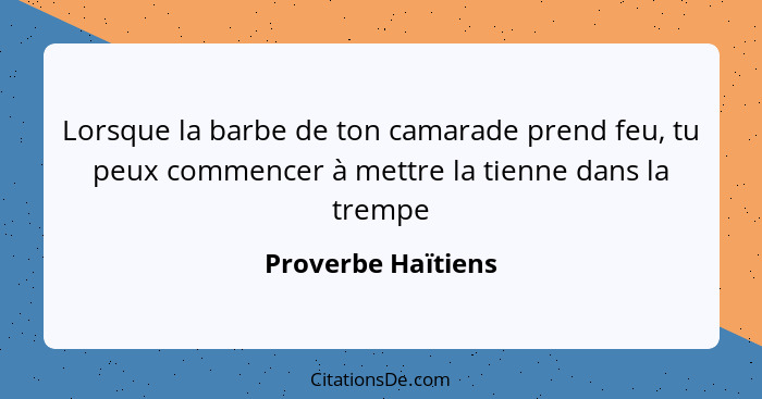 Lorsque la barbe de ton camarade prend feu, tu peux commencer à mettre la tienne dans la trempe... - Proverbe Haïtiens