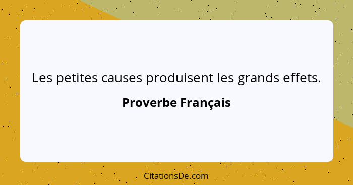 Les petites causes produisent les grands effets.... - Proverbe Français