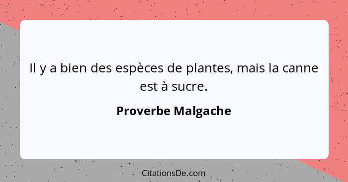 Il y a bien des espèces de plantes, mais la canne est à sucre.... - Proverbe Malgache