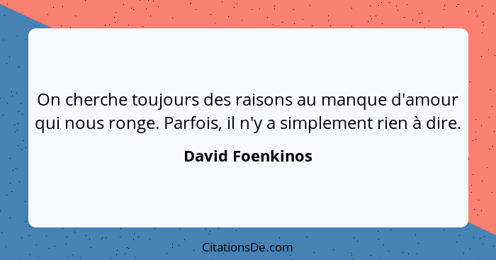 On cherche toujours des raisons au manque d'amour qui nous ronge. Parfois, il n'y a simplement rien à dire.... - David Foenkinos