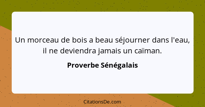 Un morceau de bois a beau séjourner dans l'eau, il ne deviendra jamais un caïman.... - Proverbe Sénégalais