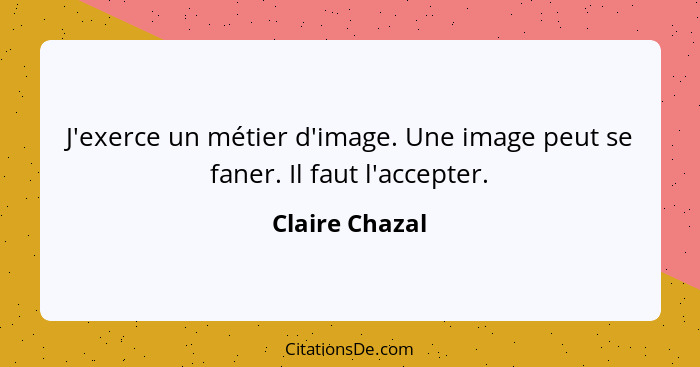 J'exerce un métier d'image. Une image peut se faner. Il faut l'accepter.... - Claire Chazal